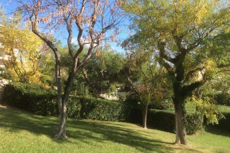 Cassis 4Pers Vue Mer Wifi Tennis Parking Piscine Екстер'єр фото